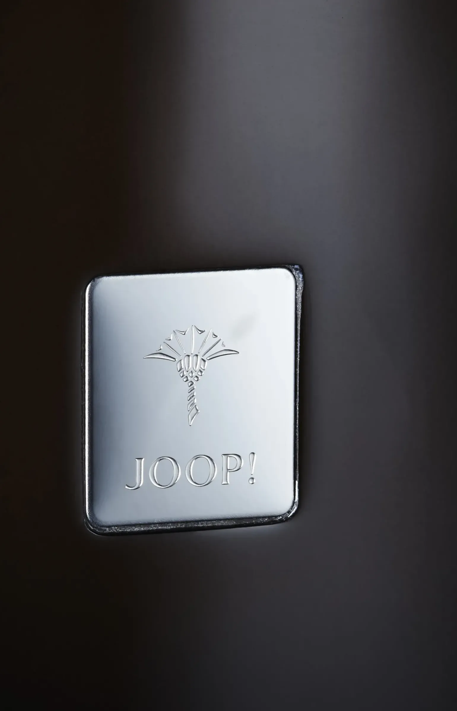 Badeimer mit Schwingdeckel Crystal Line in Anthrazit