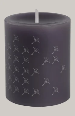 JOOP! FADED CORNFLOWER Stumpenkerze in Graphit - 2er Set, 10 cm Höhe