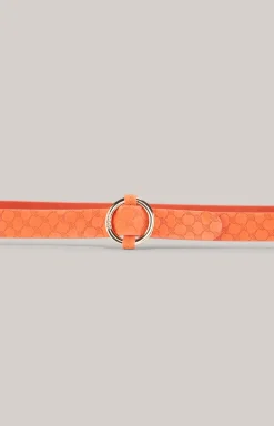 Ledergürtel in Orange