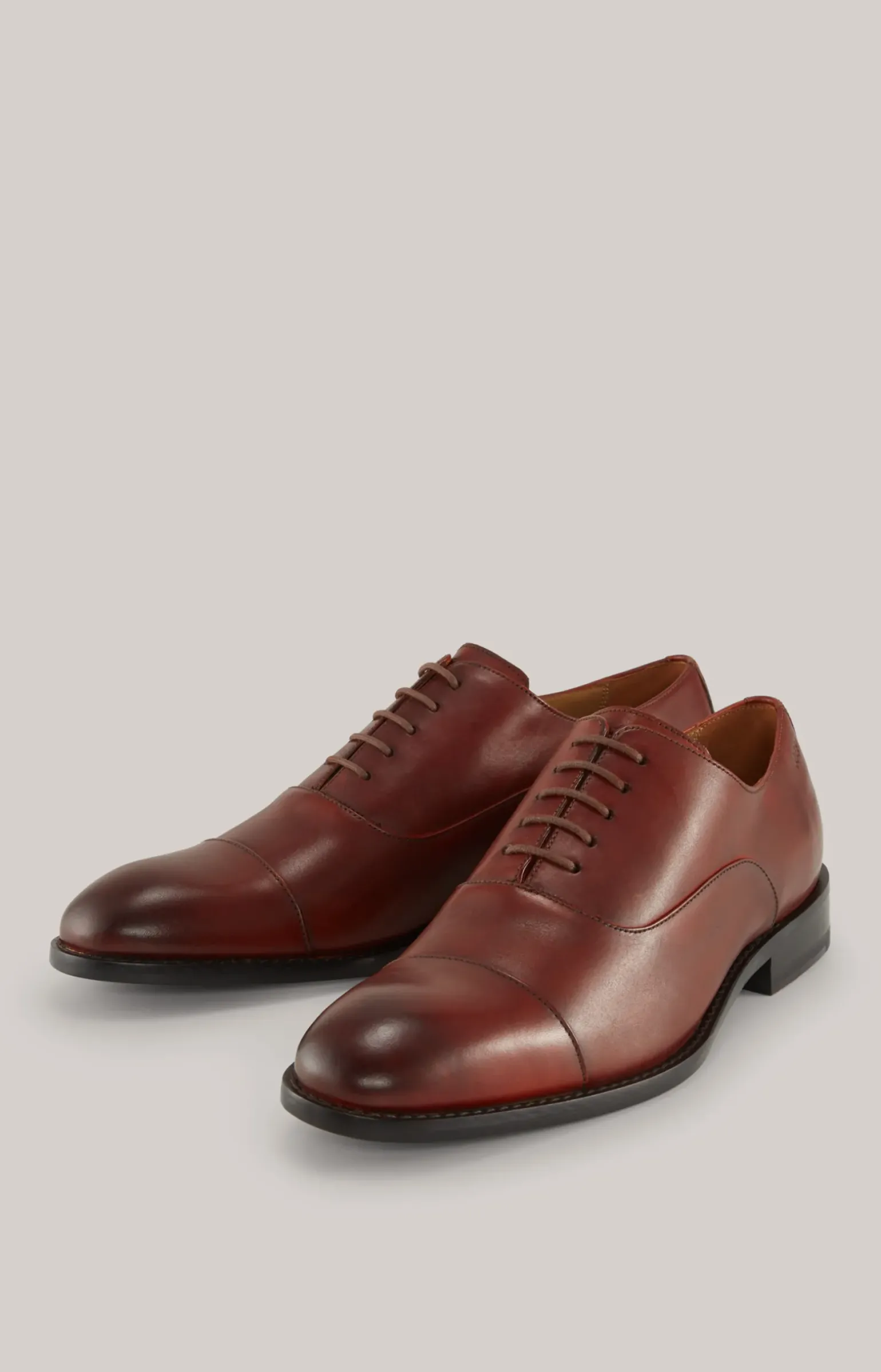 Schnürschuh Lusso Santinos in Cognac