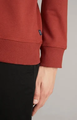 Sweatshirt Salazar in Rost